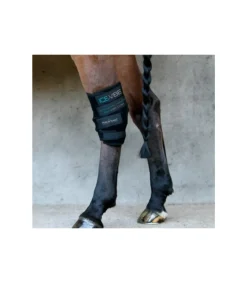 Ice-Vibe pour les jarrets du cheval