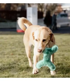Jeux Bone Pastel pour chien - Kentucky