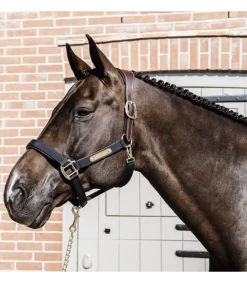 Licol anatomique en nylon - Kentucky