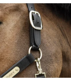 Licol anatomique en nylon - Kentucky