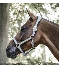 Licol anatomique en suédine - Kentucky
