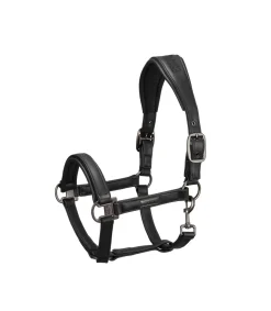 Licol cuir Essence 2022 - Eskadron