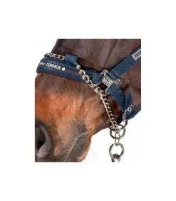 Licol de contrôle Performance - Eskadron