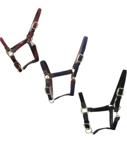 Licol en nylon tressé - Kentucky