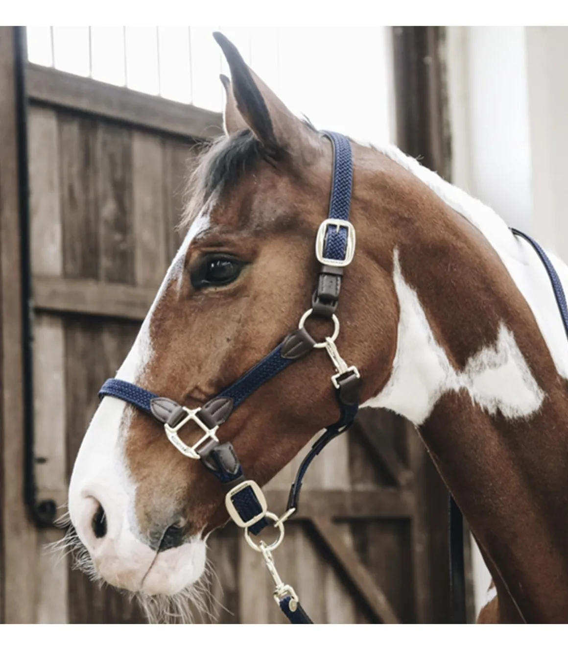 Licol en nylon tressé - Kentucky