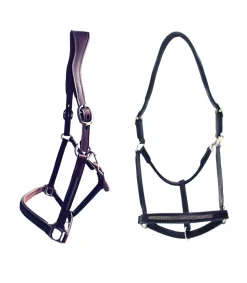 Licol Goldy - Cavaletti