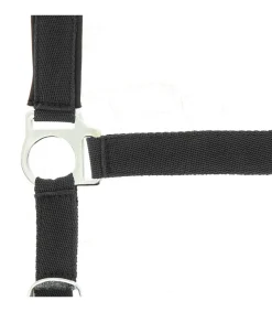 Licol NORTON - Doublé néoprène