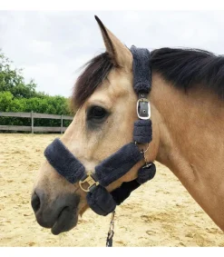 Licol nylon Douceur complet fourrure synthétique - JMR