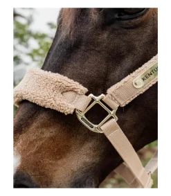 Licol Teddy Fleece - Kentucky