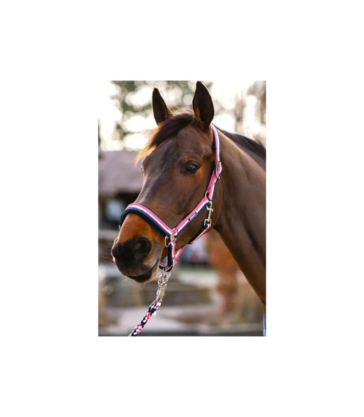 Licol tricolor Classic Sports 2019 - Eskadron