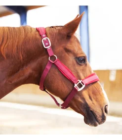 Licol Velvet - Equestre