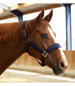 Licol Velvet - Equestre