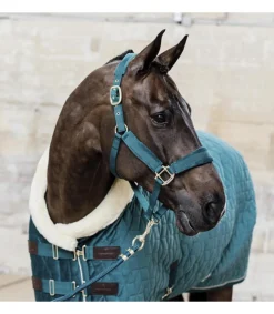 Licol Velvet - Kentucky