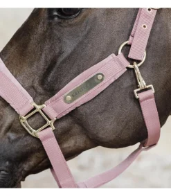 Licol Velvet - Kentucky