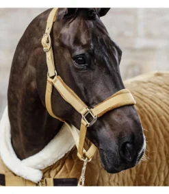 Licol Velvet - Kentucky