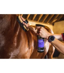 Lustrant cheval CARR & DAY & MARTIN - Dreamcoat