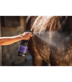 Lustrant cheval CARR & DAY & MARTIN - Dreamcoat