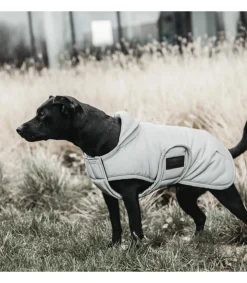 Manteau imperméable réfléchissant pour chien en 150gr - Kentucky