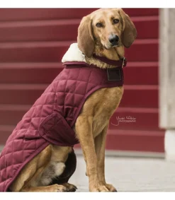 Manteau pour chien - Kentucky