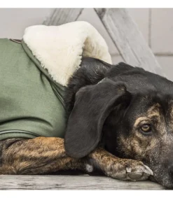 Manteau pour chien Waterproof 300gr - Kentucky