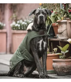 Manteau pour chien Waterproof 300gr - Kentucky