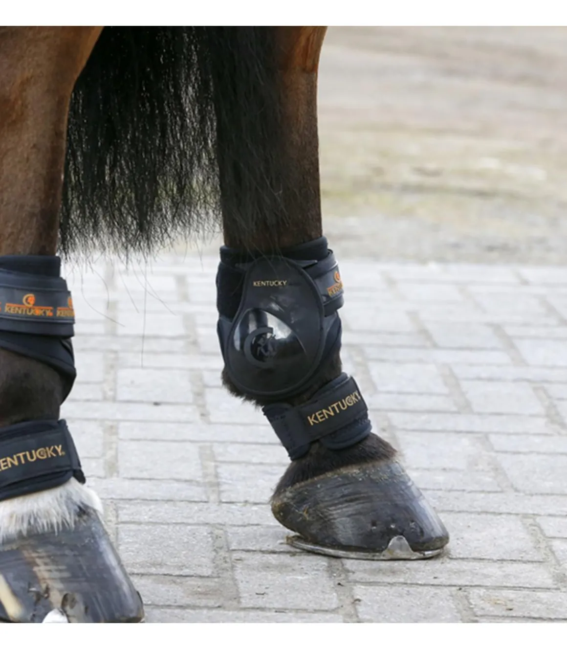 Protège-paturon - Kentucky