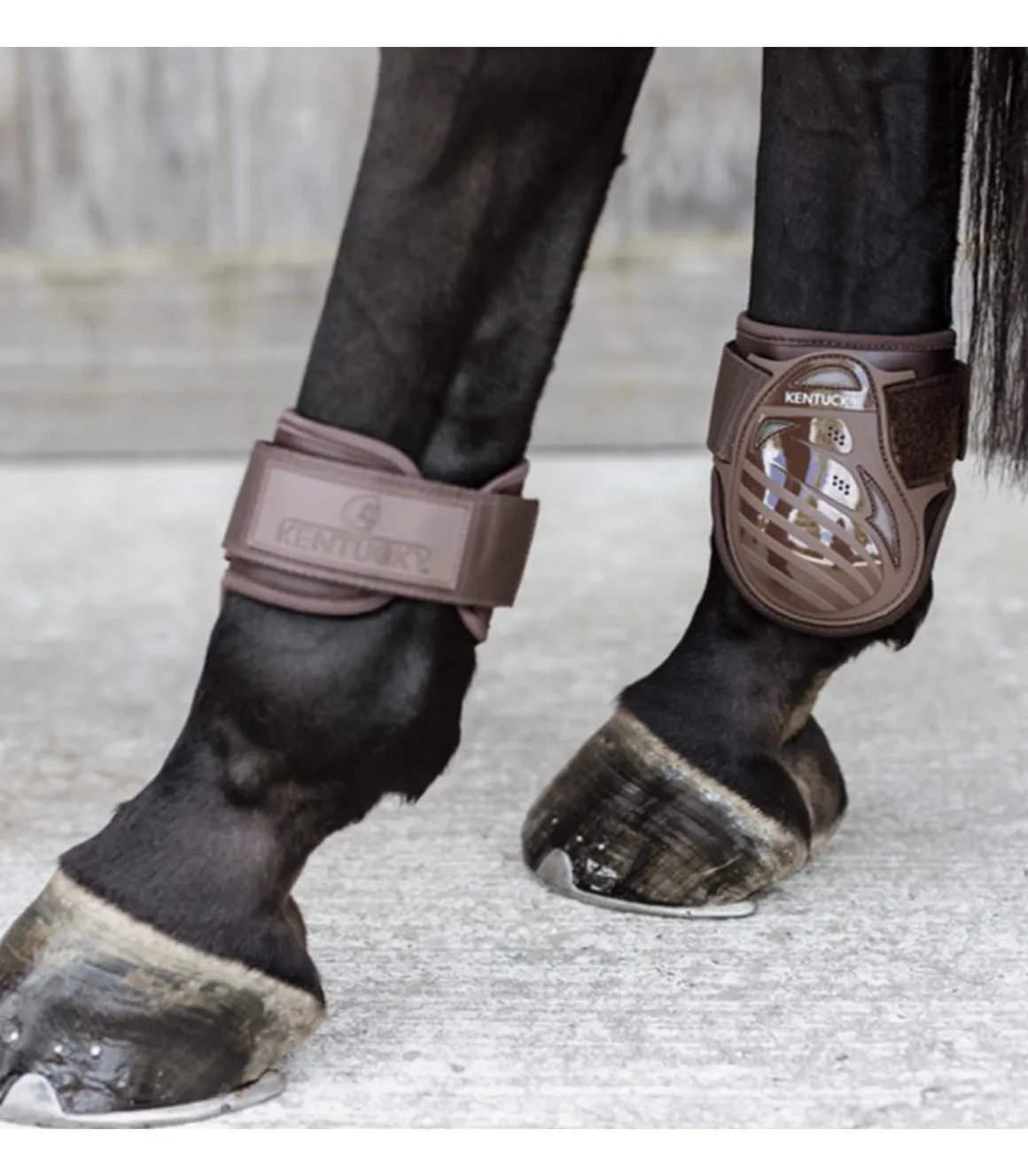 Protèges-boulets jeunes chevaux - Kentucky