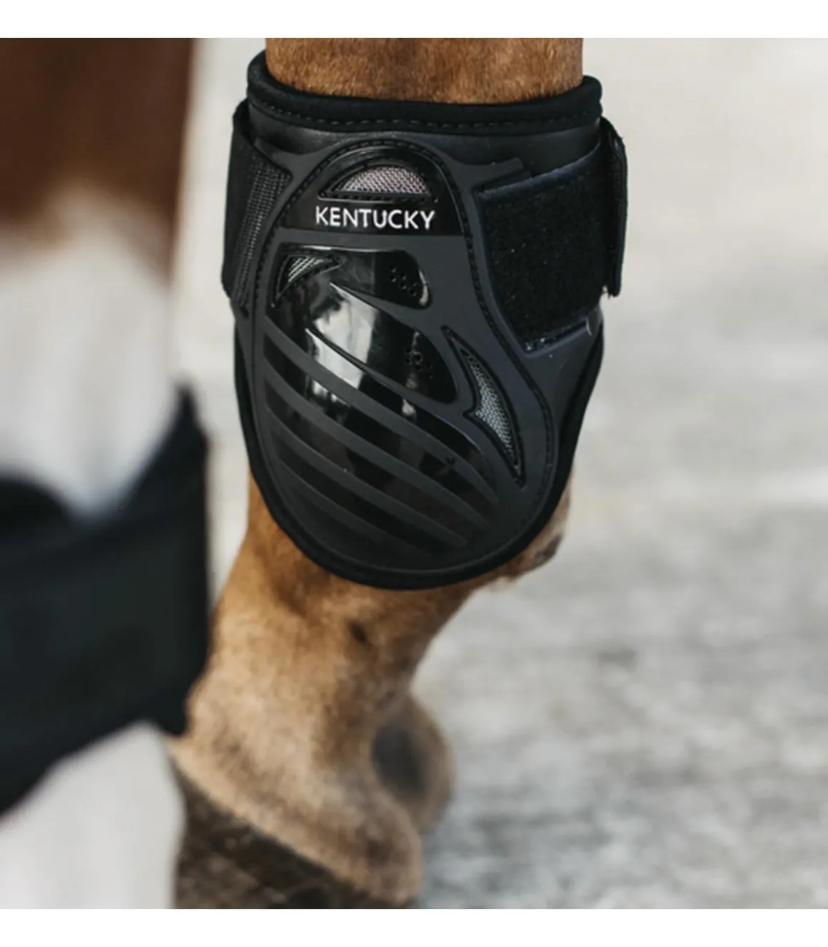 Protèges-boulets jeunes chevaux - Kentucky