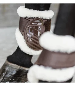 Protèges-boulets jeunes chevaux avec mouton végan - Kentucky