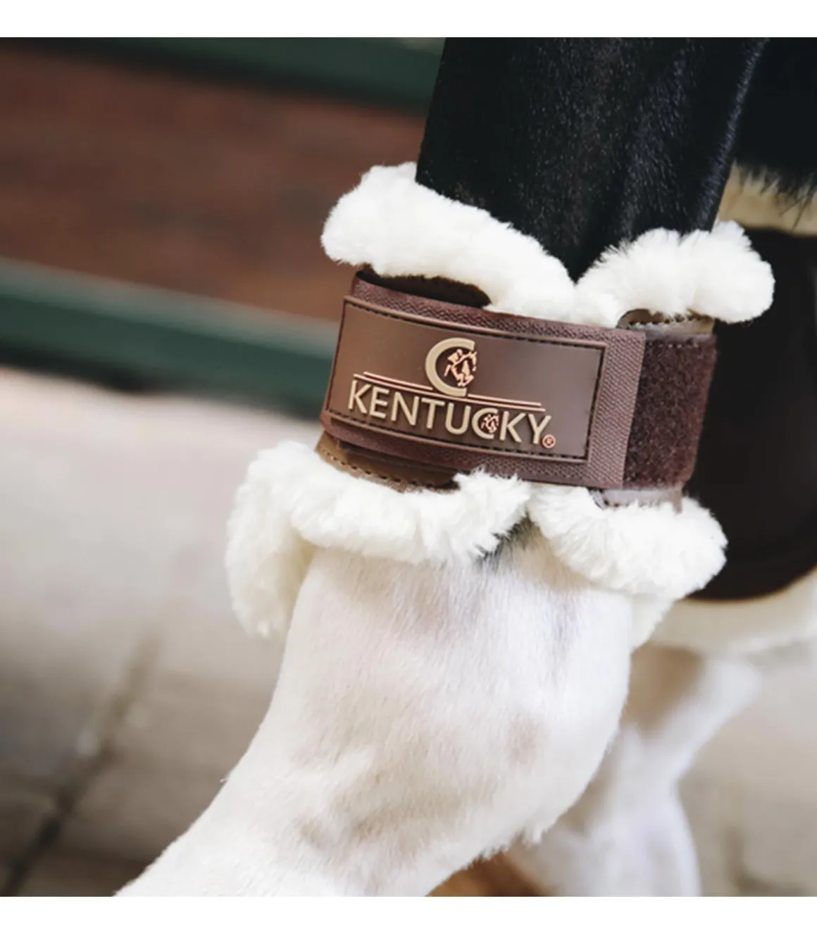 Protèges-boulets jeunes chevaux avec mouton synthétique - Kentucky