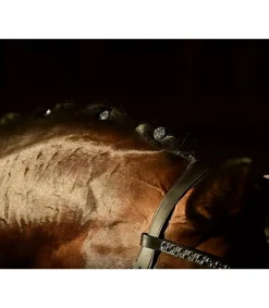 Quick Knot Jewel, clips pions en cristaux Swarovski Medley 12 pièces - Hes Tec