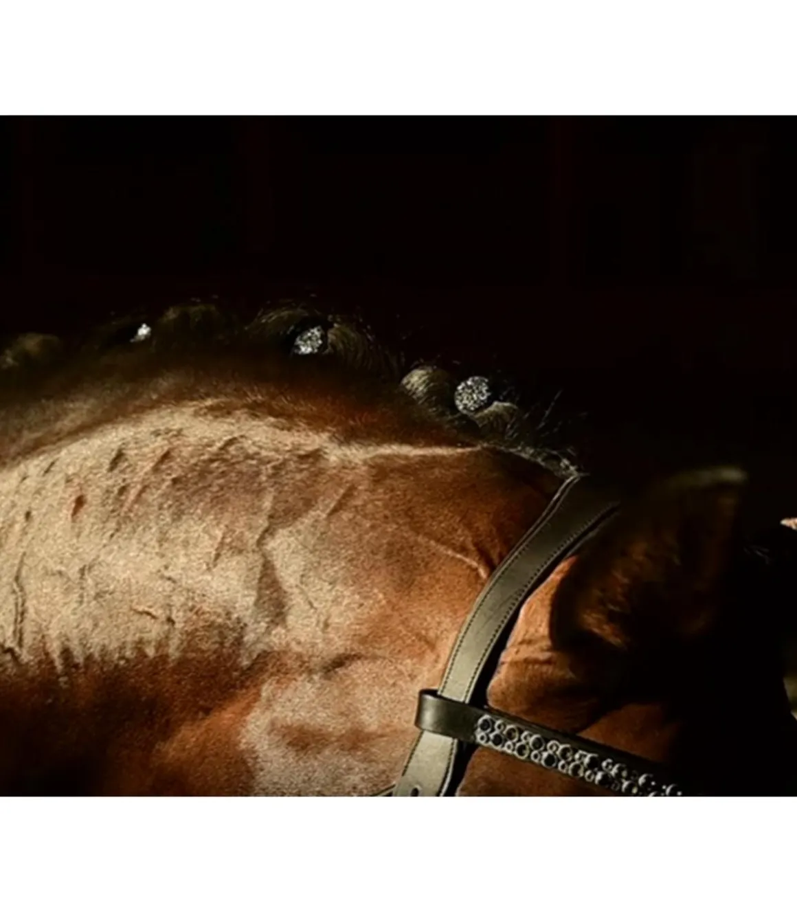 Quick Knot Jewel, clips pions en cristaux Swarovski Medley 12 pièces - Hes Tec