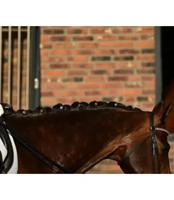 Quick Knot Jewel, clips pions en cristaux Swarovski Medley 12 pièces - Hes Tec