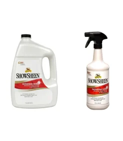 shampoing sec stain master