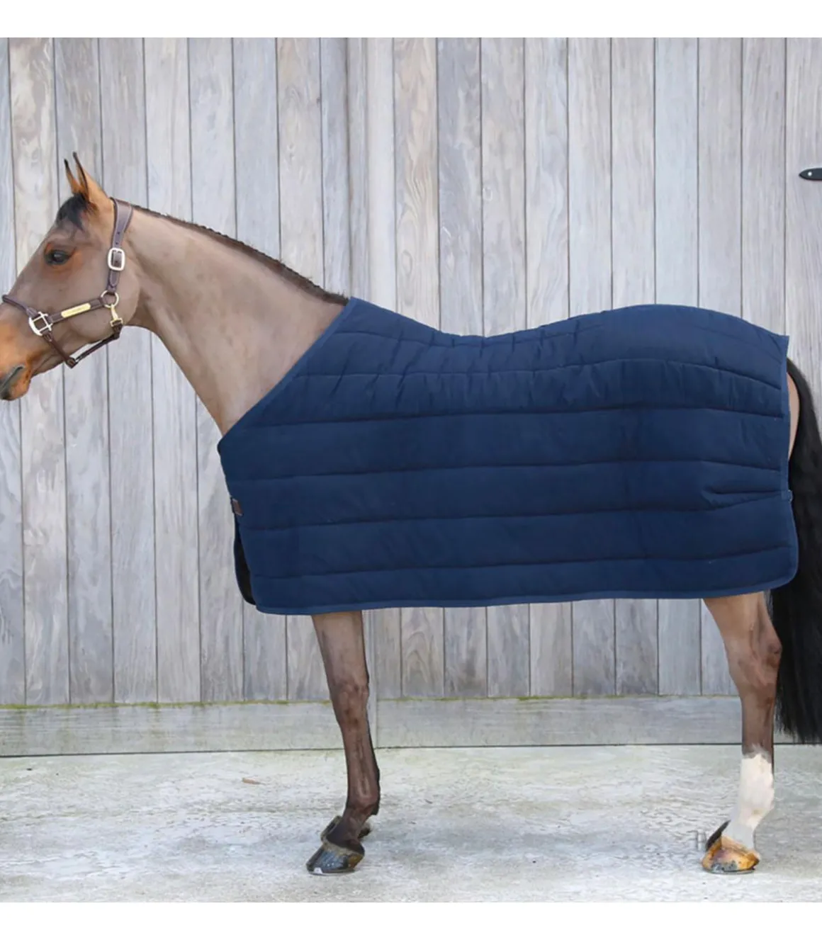 Sous-couverture Skin Friendly 150gr - Kentucky