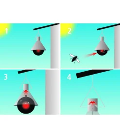 Support mural pour le piège à taons TaonX Mini - Kerbl