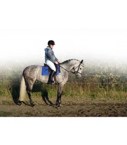 Veste de pluie transparente imperméable avec capuche